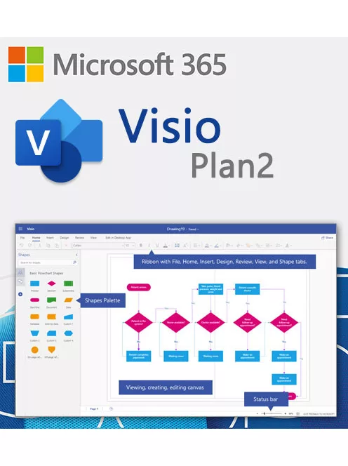 m365-Visio-Plan-2-Havi
