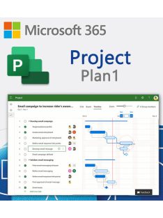 m365-Project-Plan-1-Havi