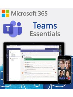 m365-Microsoft-Teams-Essentials-Havi